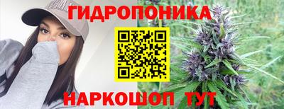 сатива Бузулук