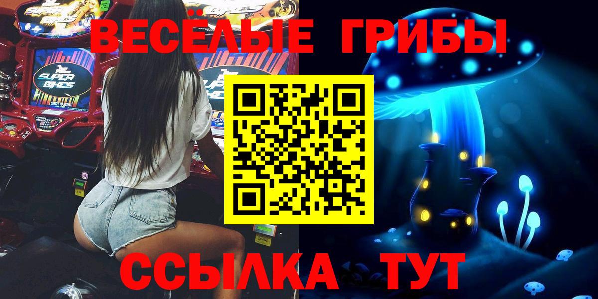 Шелехов  купить  цена  Вход с VPN  Псилоцибиновые грибы Cubensis 